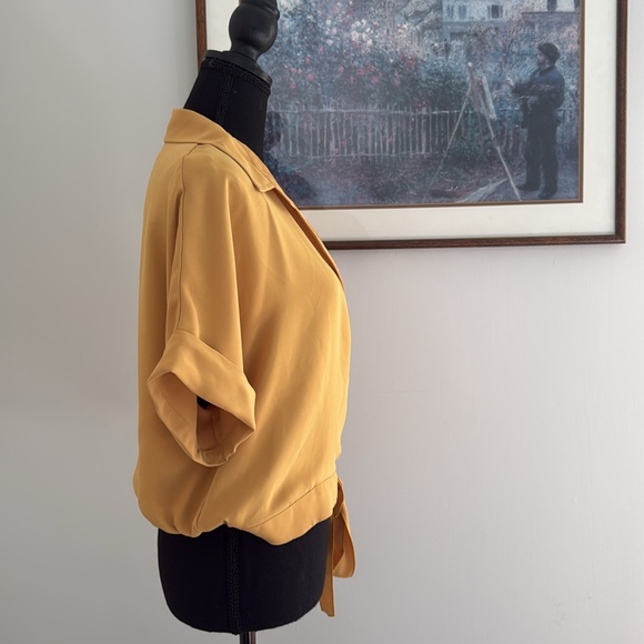 NWOT Aritzia Babaton Ozana Blouse - Size L - Picture 2 of 9